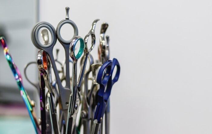 grooming 6895016 1280