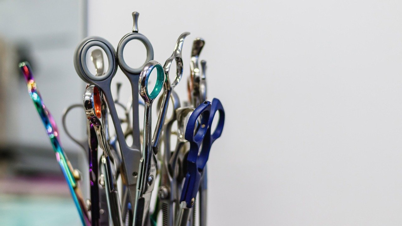 grooming 6895016 1280